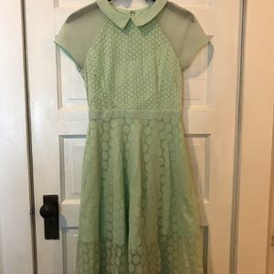 New York and Co. Mesh A-Line Dress